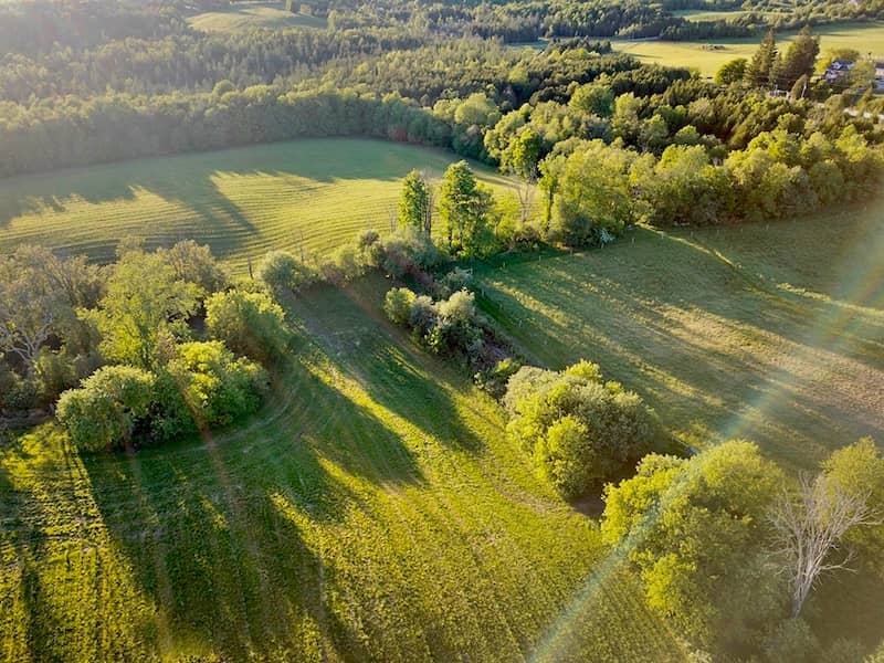Farm landscape view