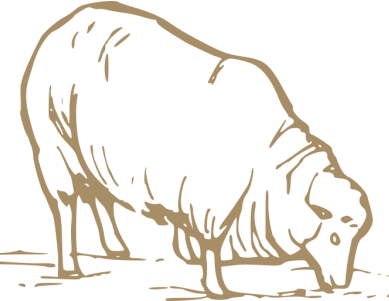 Grass Fed icon
