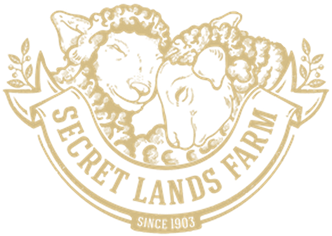secretlands logo