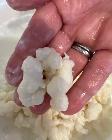 Kefir Membership