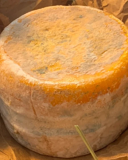 Soft-ripened Cheeses