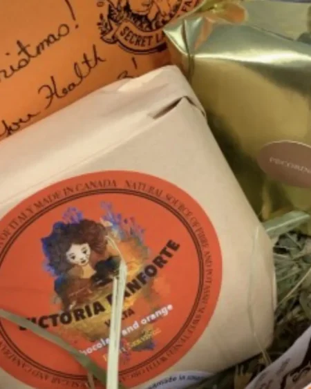 Artisanal Pecorino & Panforte pairing Gift Box
