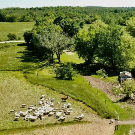 Private Farm Tour