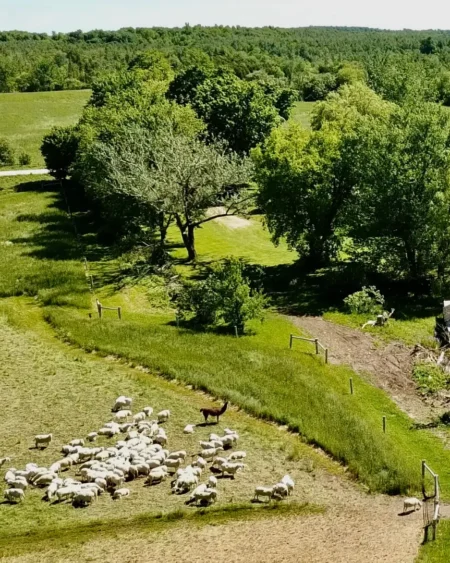 Private Farm Tour