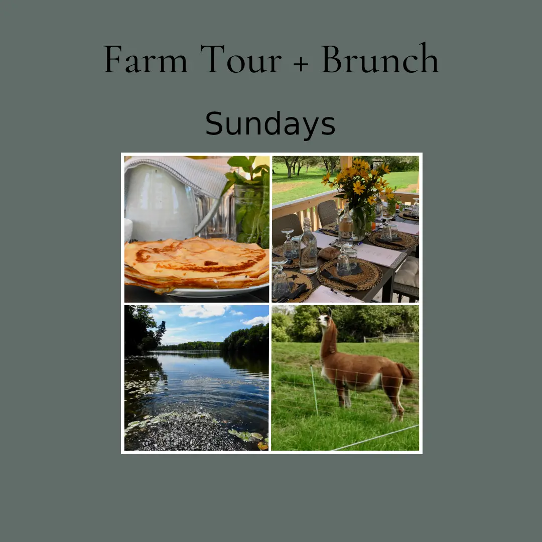 Secret Lands Farm » Sunday Farm Tour & Brunch Secret Lands Farm