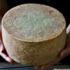 pecorino whole wheel