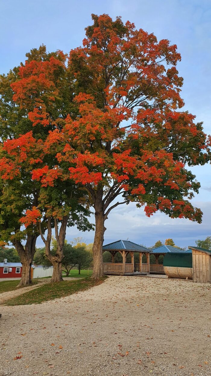 Sunday Farm Tour & Brunch - Image 8