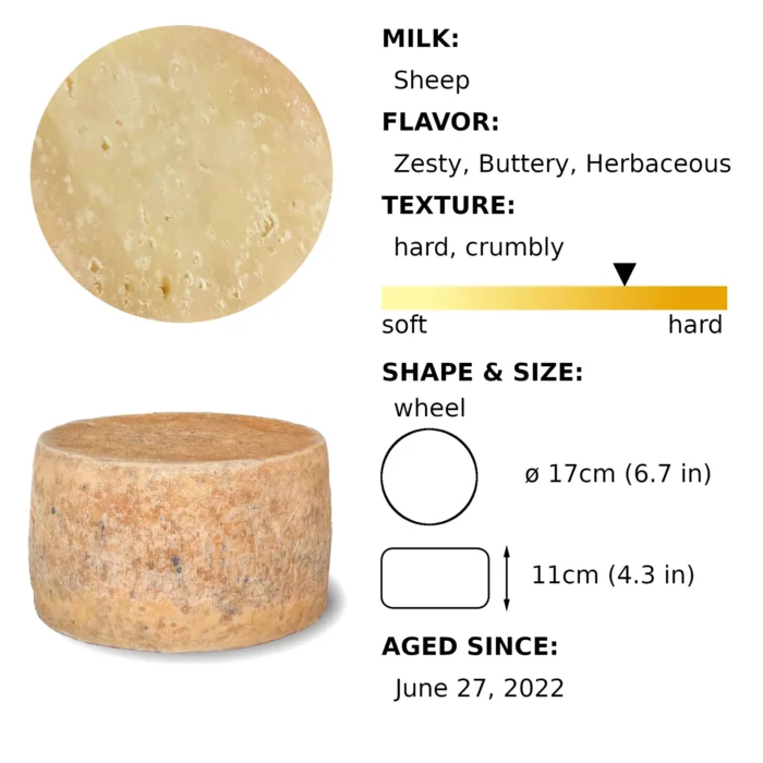 Pecorino June 2022