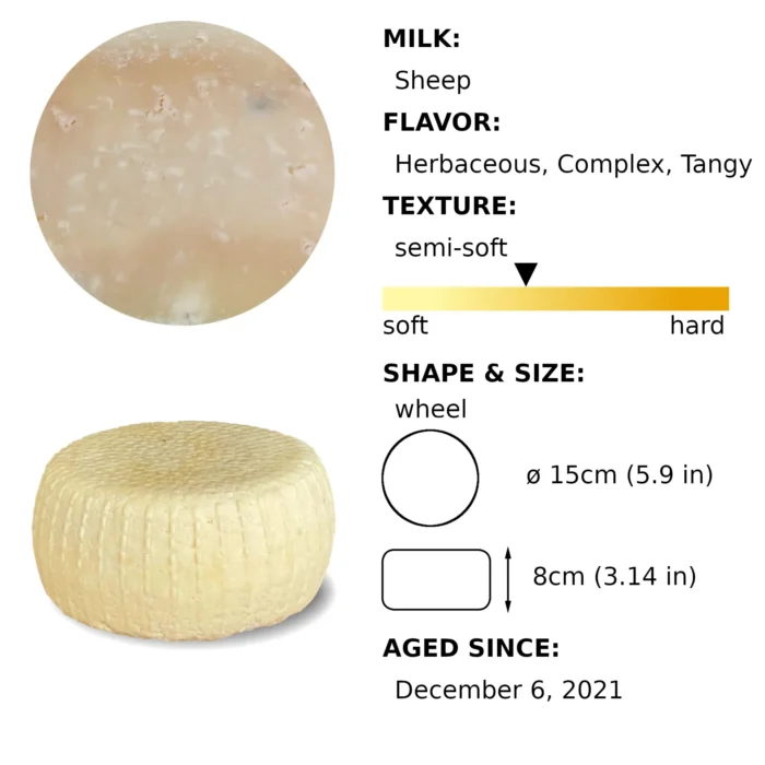 Caciotta December 2021