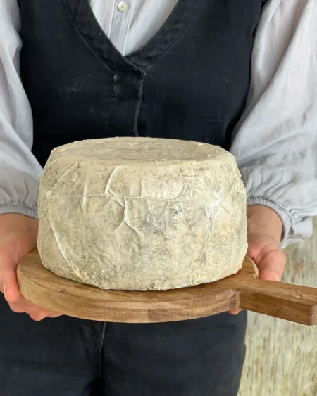 Caciotta Wheel 2019