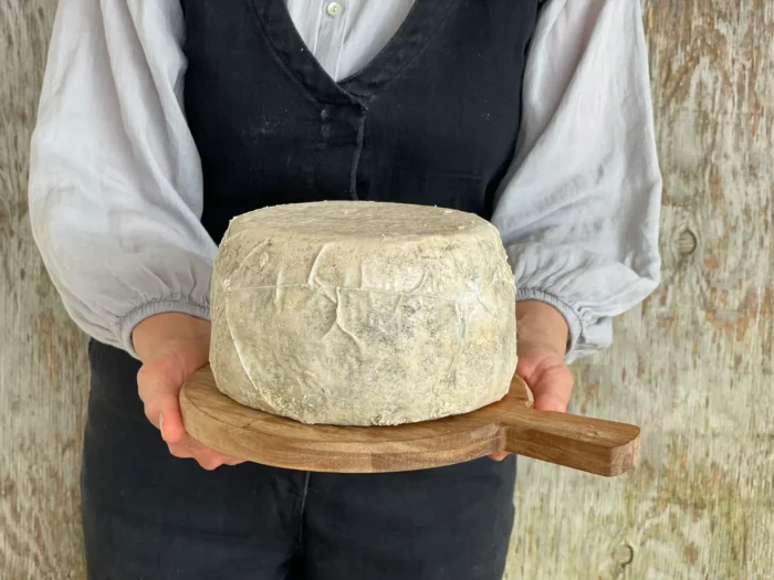 Caciotta Wheel 2019