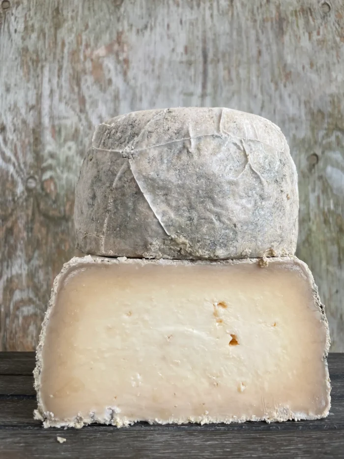 Caciotta Wheel 2019