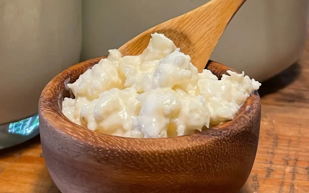 Kefir Grains: From Ancient Legends to the World’s Healthiest Probiotic