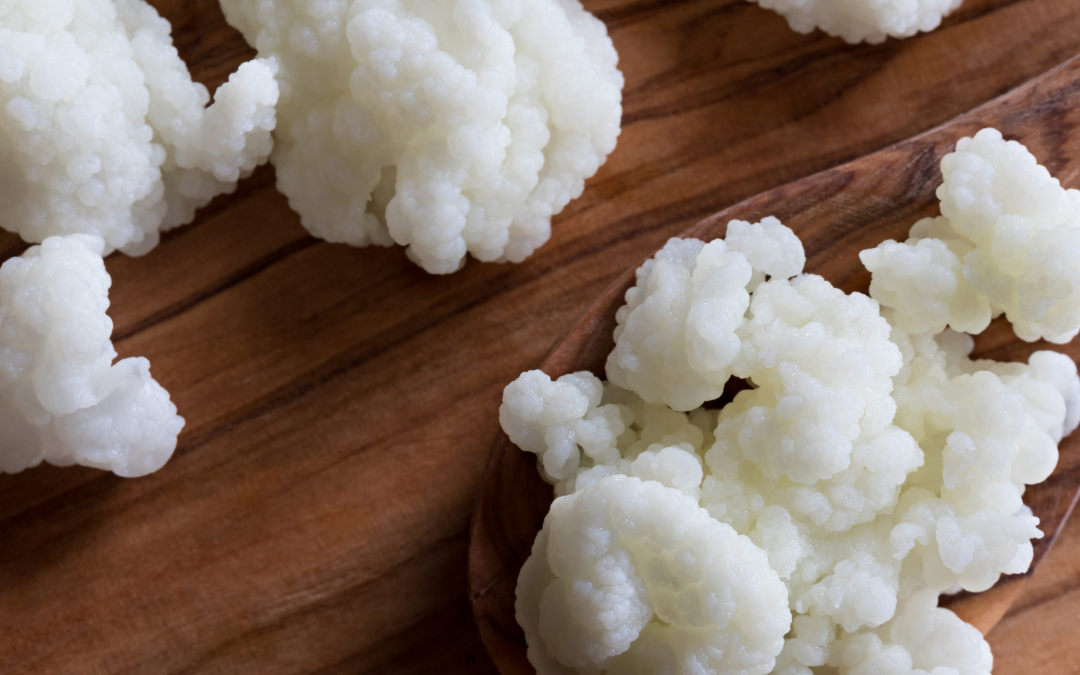 Sheep’s Milk Kefir: The Ultimate Natural Probiotic