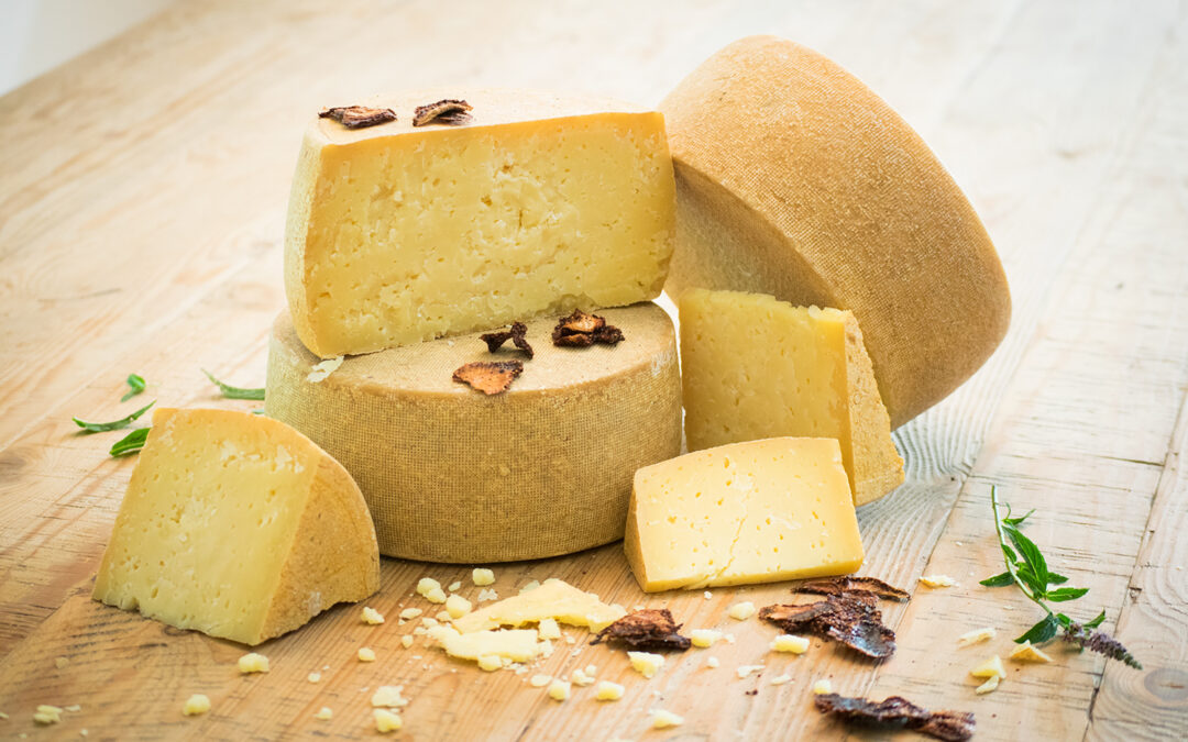 Exploring Pecorino: A Comprehensive Guide for Sheep’s Milk Cheese Lovers