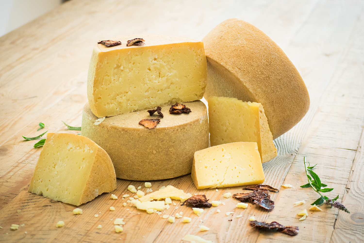 Exploring Pecorino: A Comprehensive Guide for Sheep’s Milk Cheese Lovers