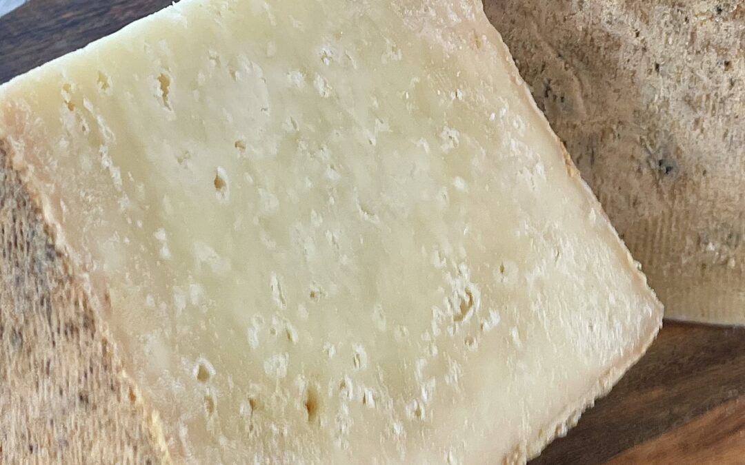 Sheep’s Milk and Kefir – The Nutritional Powerhouse Behind Pecorino