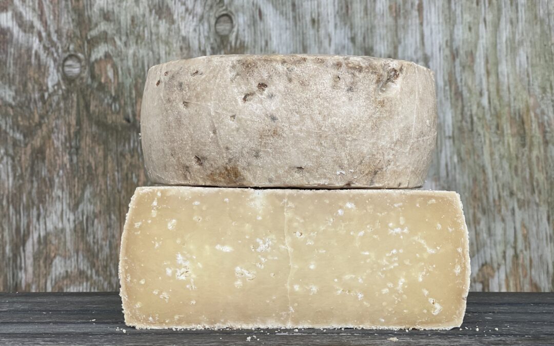 Pecorino Cheese in Global Cuisines and Cooking Ideas