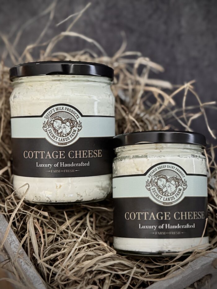 sheep's milk cottage cheese