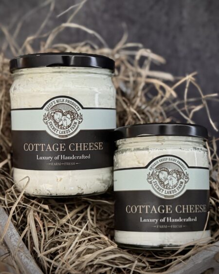 sheep's milk cottage cheese