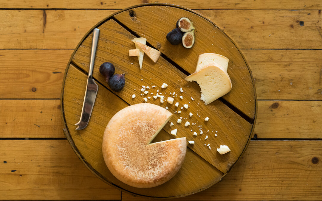 How to Store Cheese: Cheese Care and Storage. Pecorino and Caciotta
