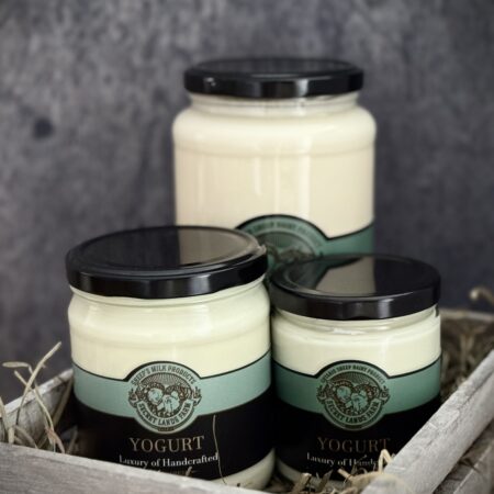 Sheep's milk yogurt