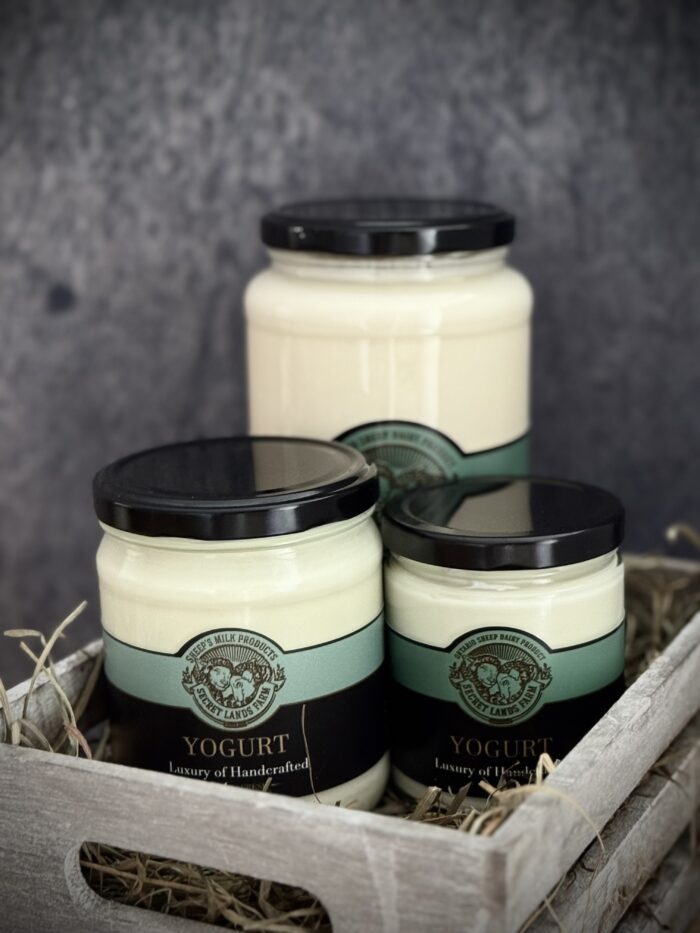 Sheep's milk yogurt