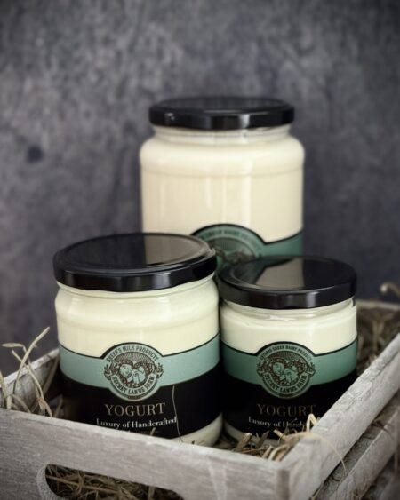 Sheep's milk yogurt