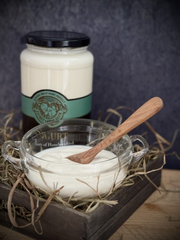 Sheep's milk yogurt