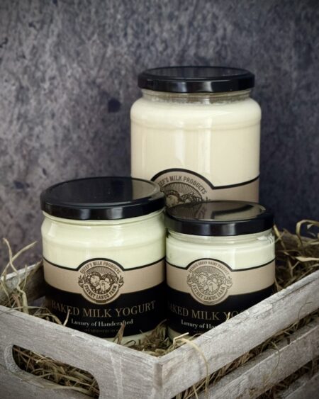 Buy Sheep's Milk Ryazhenka