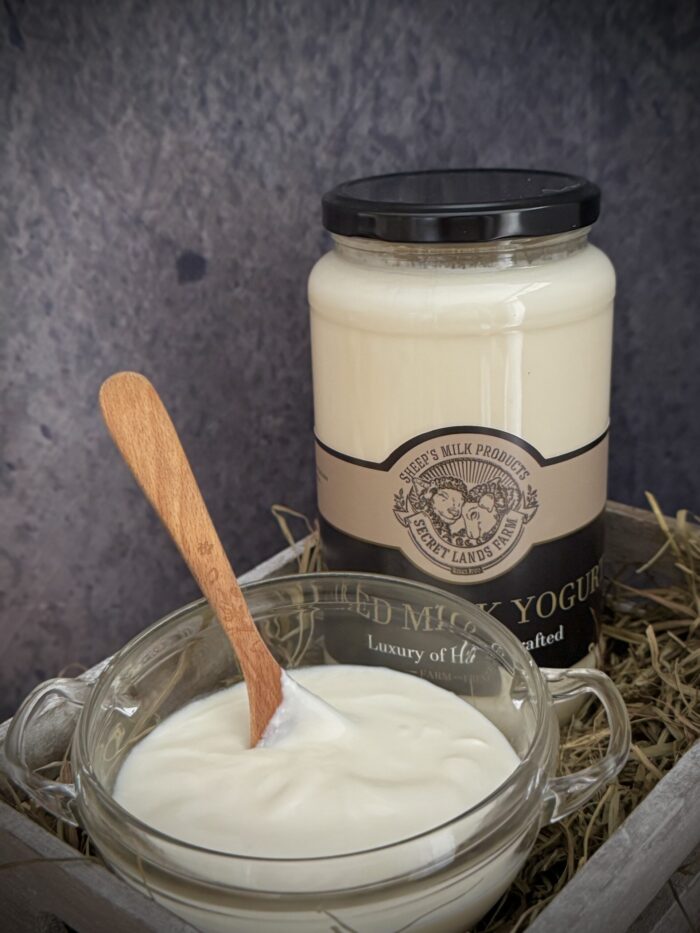 Sheep's Milk Ryazhenka / Baked Milk Yogurt