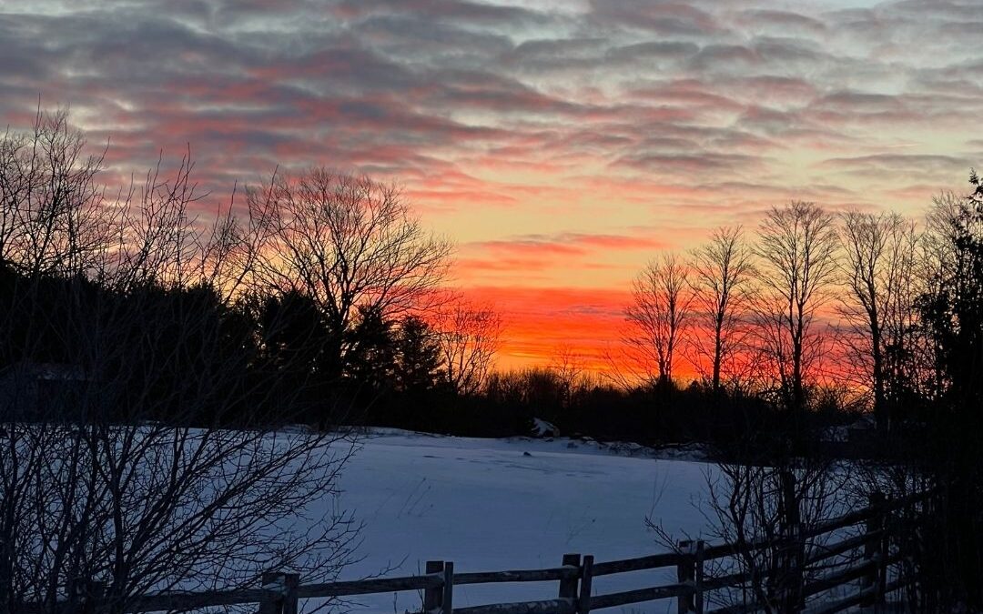 Healthy Lifestyle Habits for Wellness