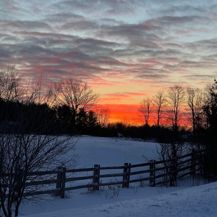 Healthy Lifestyle Habits for Wellness