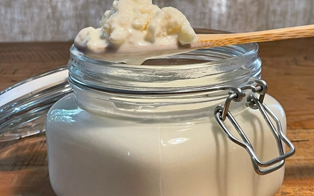 How Kefir Grains Work