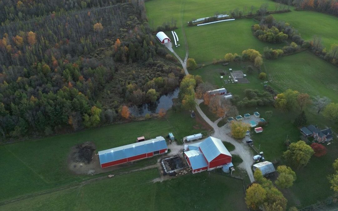 Good Health: The Greatest Gift of All