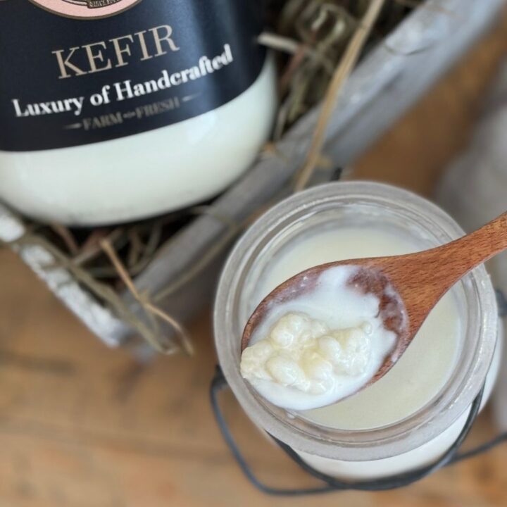 Kefir for Mental Health