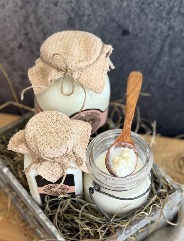 Raw Sheep Milk Kefir for Pets