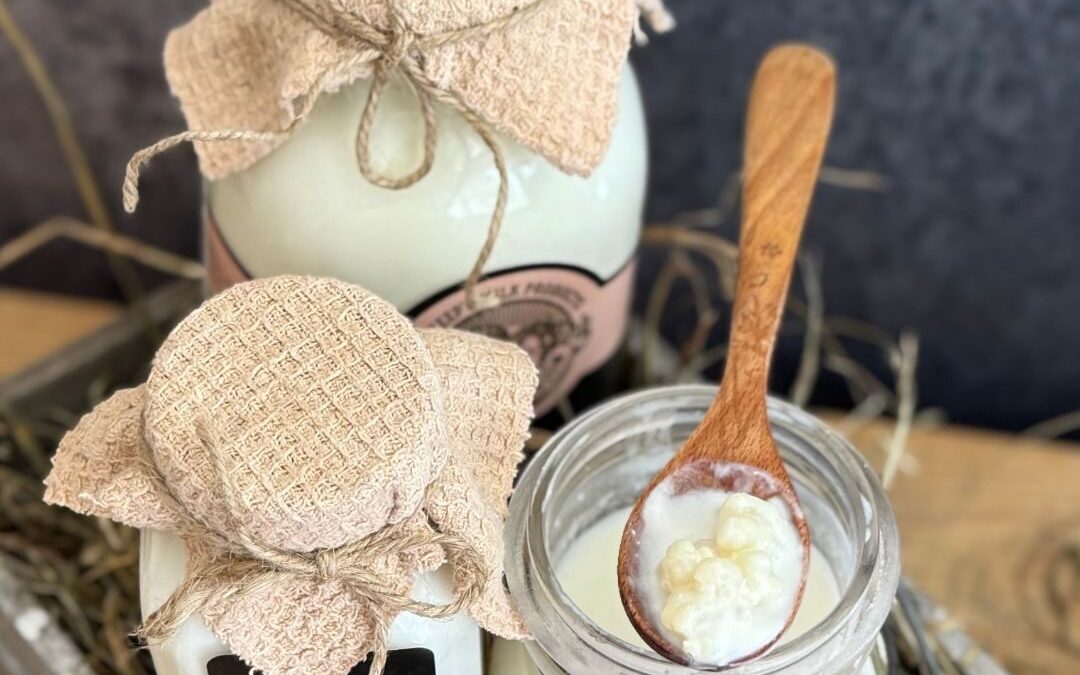 Raw Sheep Milk Kefir for Pets – Secret Lands Farm’s New Probiotic Supplement