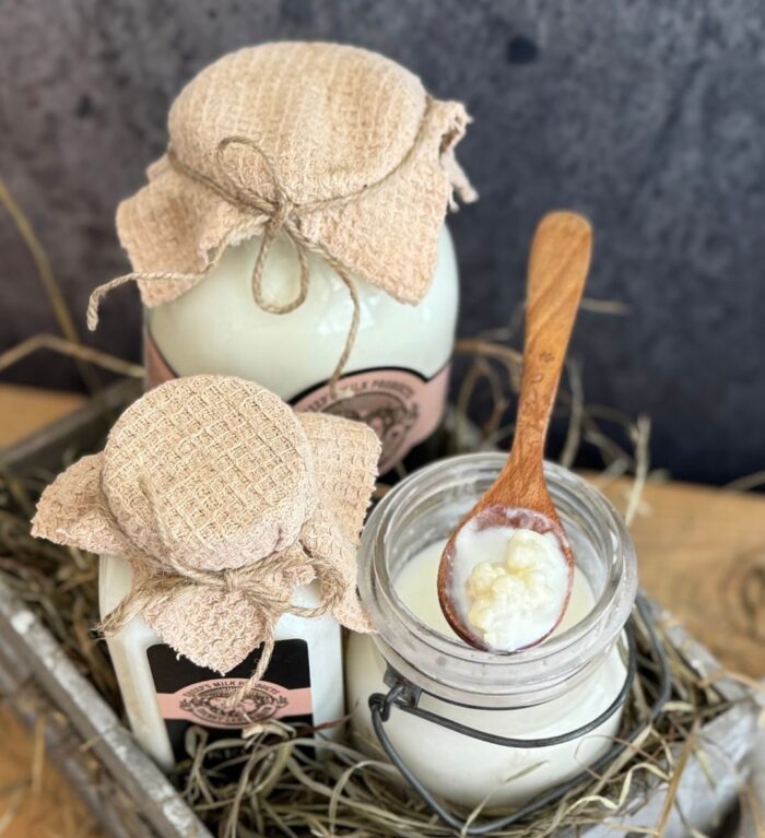 Raw Sheep's Milk Kefir for Pets