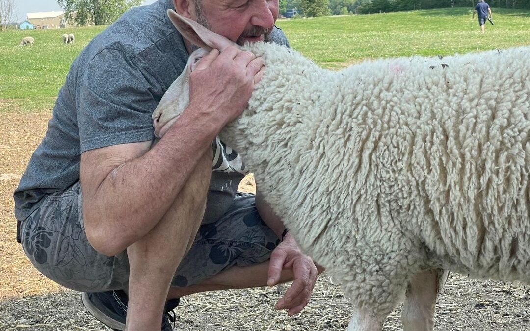 Why Our Sheep Dairy Farm’s Products Cost What They Do