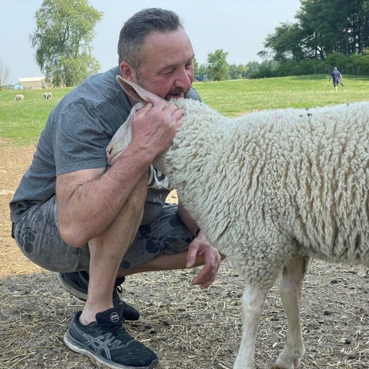 Why Our Sheep Dairy Farm’s Products Cost What They Do
