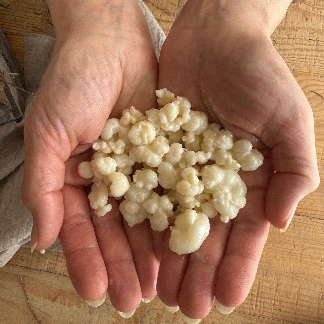 fermentation power