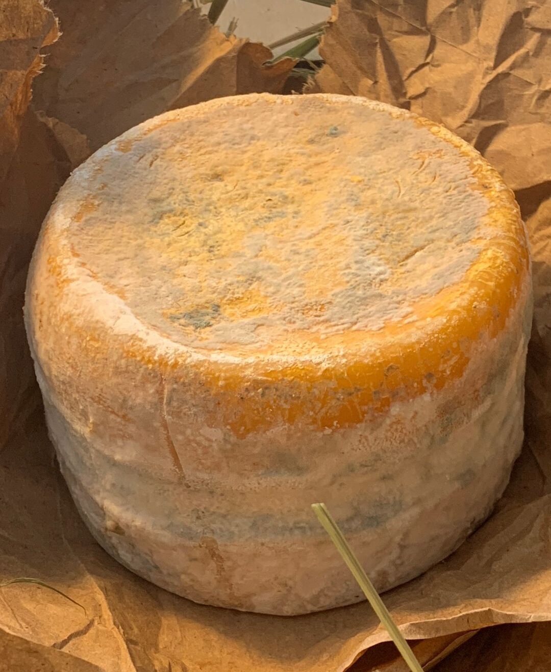 Crafting Tommette de Brebis at Secret Lands Farm