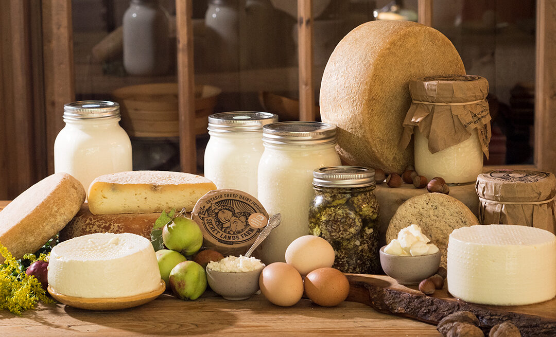 Discover the World of Cheese with Secret Lands Farm