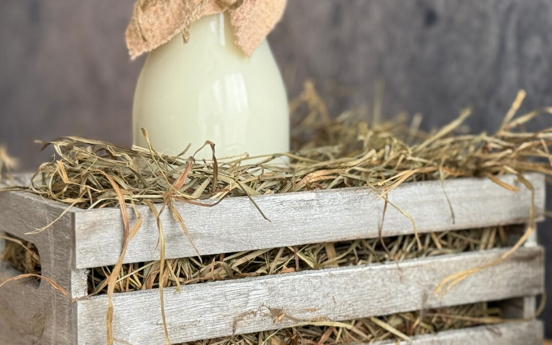 Understanding Cream and Milk Solids