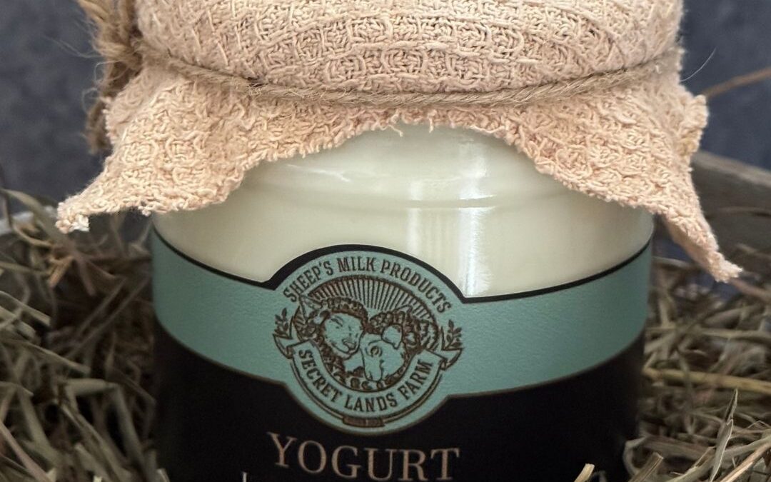 Safe Is Not Always Healthy: Modern vs. Natural Yogurt