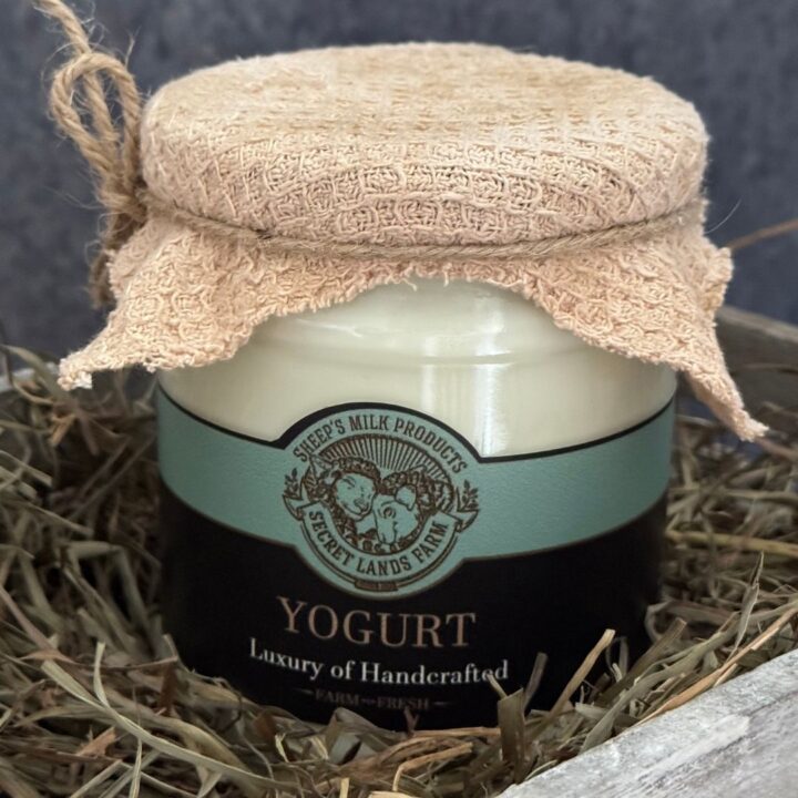 Safe Is Not Always Healthy: Modern vs. Natural Yogurt