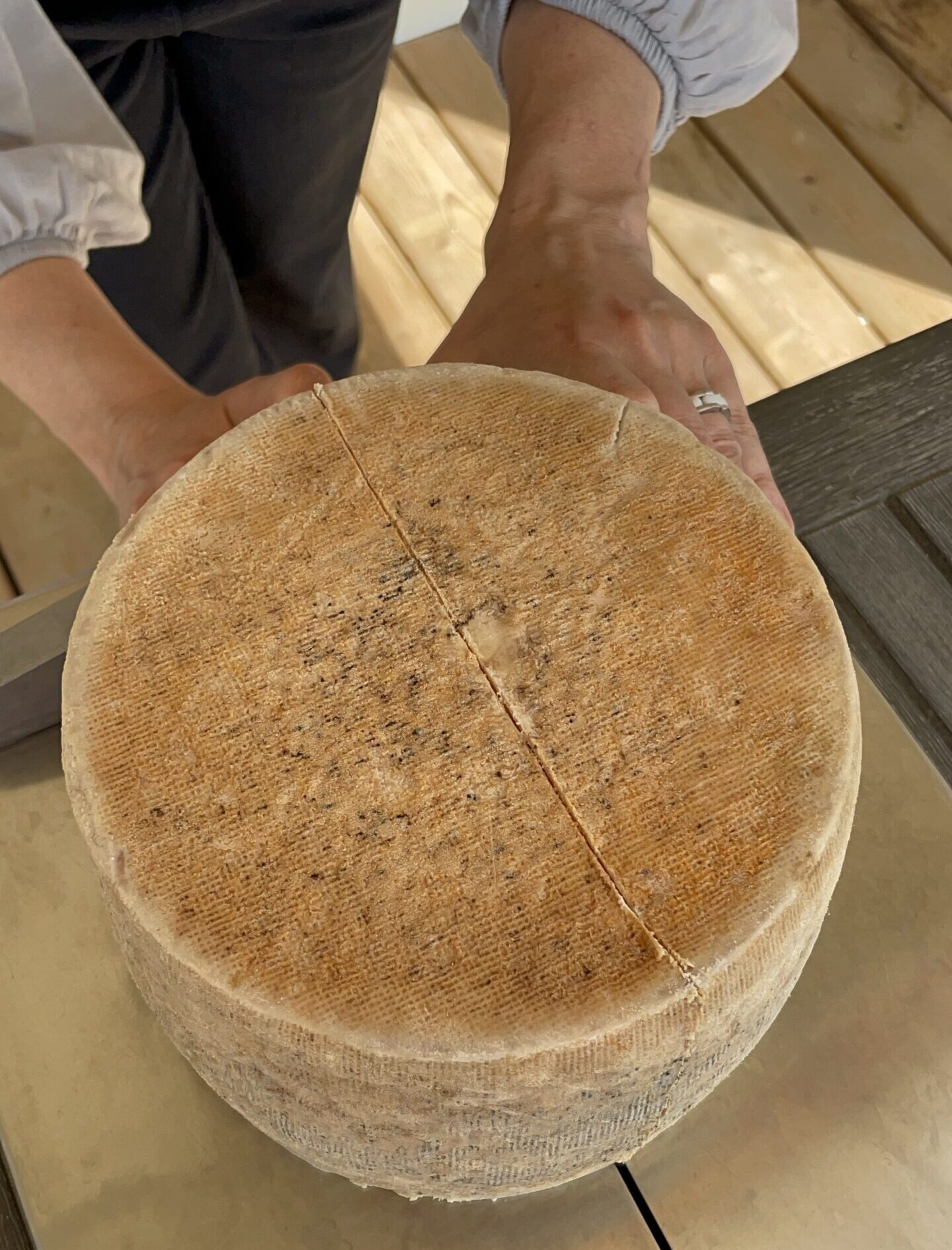 Plastic-Wrapped vs. Washed-Ripened Cheese Aging