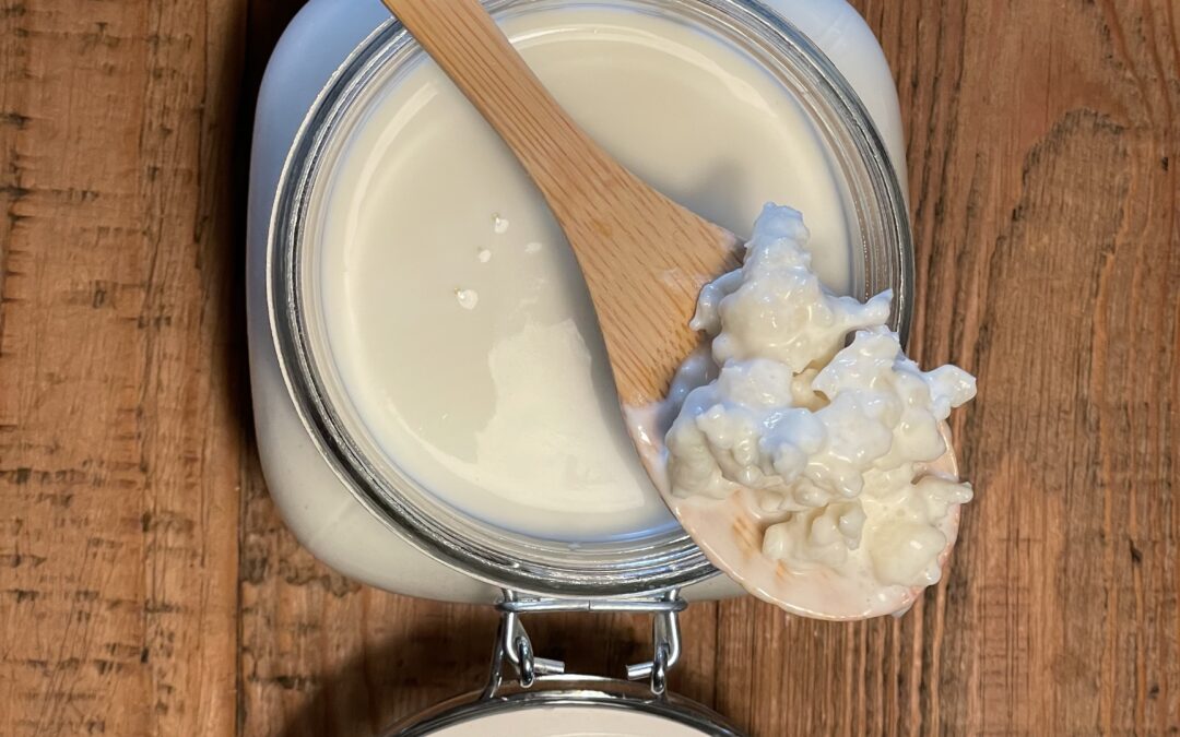 Kefir Yeasts vs. Bread Yeast: How They Differ and Impact Your Health