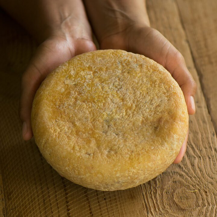 Safe Is Not Always Healthy: Modern Cheese vs. Traditional Fermentation